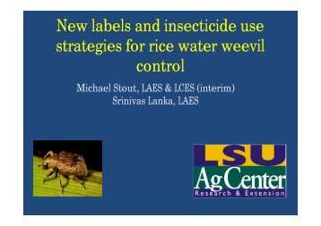 New Labels and Insecticide Use Strategies for Rice Water Weevil ...