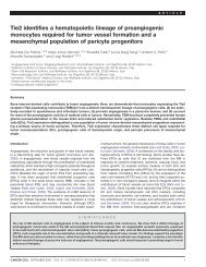 Tie2 identifies a hematopoietic lineage of proangiogenic monocytes ...