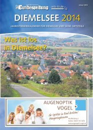 DIEMELSEE 2014 - WLZ/FZ-online.de