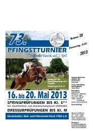 Mitteilungsblatt Nr. 20 vom 15.05.2013 - Forst in Baden