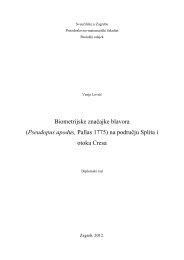 (Pseudopus apodus, Pallas 1775) na podruÄju Splita i otoka Cresa