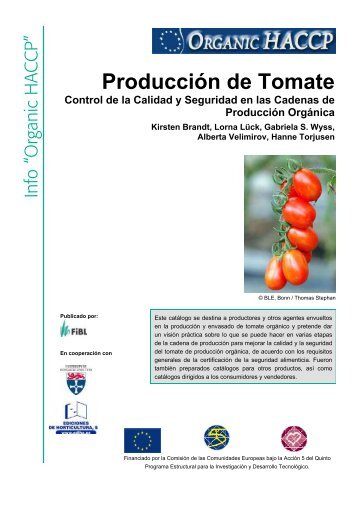 Producción de Tomate