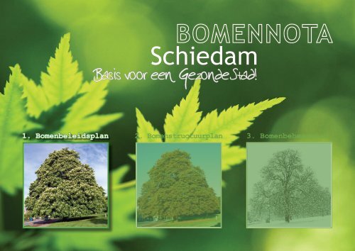 Bomenbeleidsplan Schiedam - Leiedal
