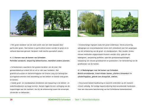 Bomenbeleidsplan Schiedam - Leiedal