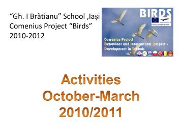 âGh. I BrÄtianuâ School ,IaÅi Comenius Project âBirdsâ 2010-2012