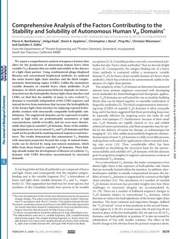 Comprehensive Analysis of the Factors Contributing to the Stability ...