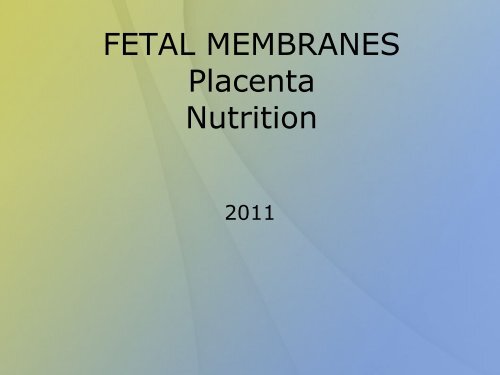 FETAL MEMBRANES Placenta Nutrition