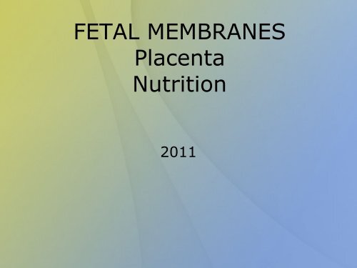 FETAL MEMBRANES Placenta Nutrition