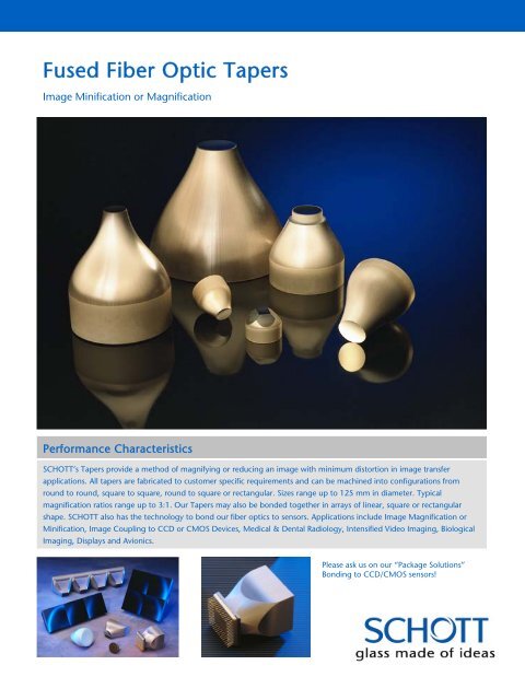 Schott fiber optics online