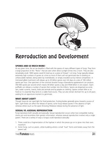 Reproduction and Development