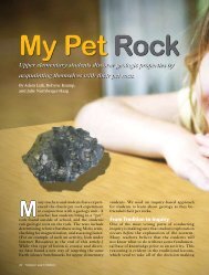 My Pet Rock - The University of Toledo