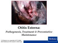 Otitis Externa