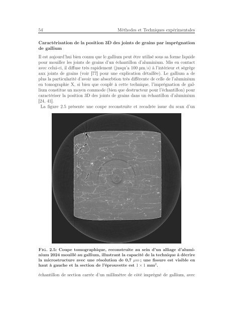 Identification des mécanismes de fissuration dans un alliage d ...