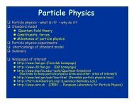 Particle Physics - FSU Physics Department