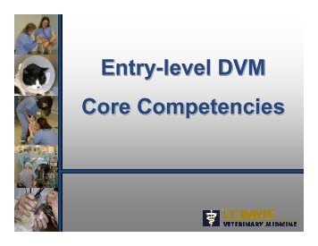Entry-level DVM Core Competencies Entry-level DVM Core ...