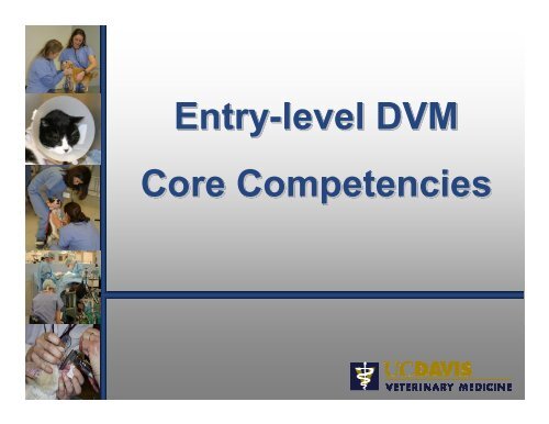 Entry-level DVM Core Competencies Entry-level DVM Core ...