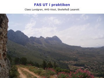 FAS UT i praktiken