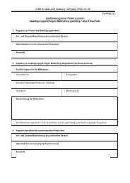 Zustimmungsformular (112 KB)