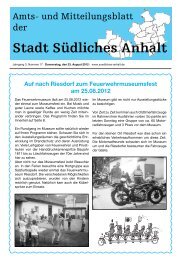 Amtsblatt Nr. 17 - Stadt SÃ¼dliches Anhalt