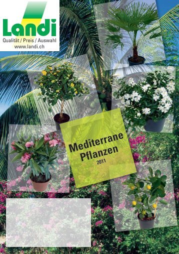 Mediterrane Pflanzen