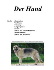 Hunde und andere Heimtiere - Starke Pfoten