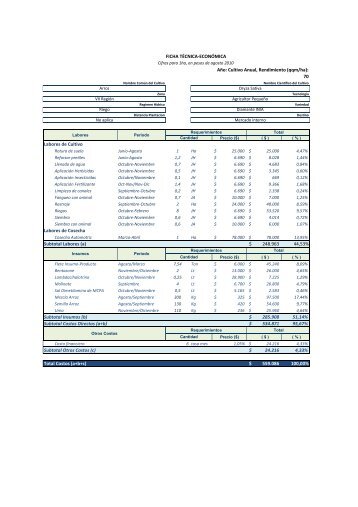 Fichas de costos Arroz 2010- 2011 - Odepa