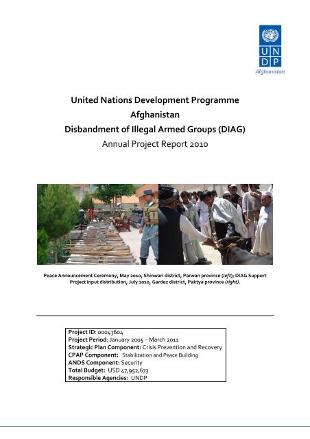 (DIAG) Annual Project Report 2010 - UNDP Afghanistan