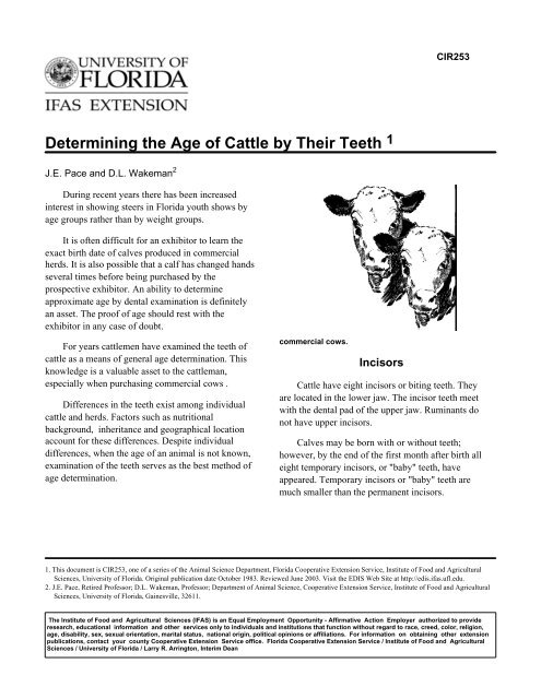 Determining the Age of Cattle by Their Teeth 1 - University of ...