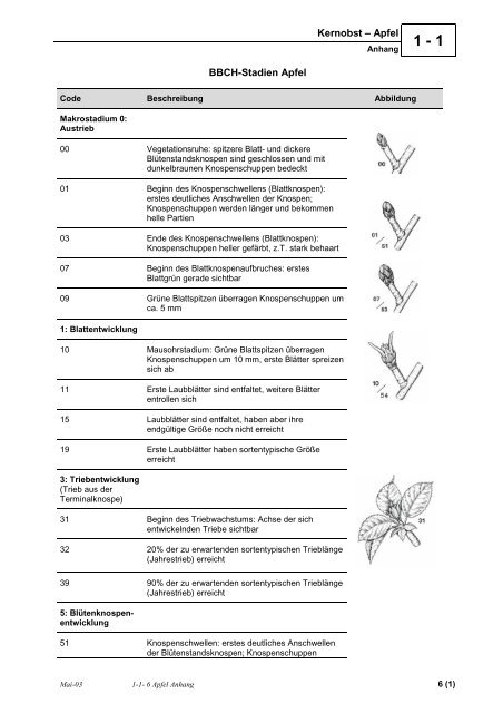 6 Apfel Anhang Pdf Obstbau