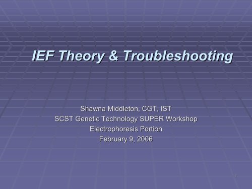 IEF Theory & Technique