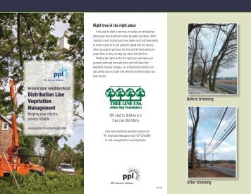 brochure - PPL Electric Utilities