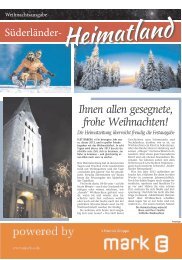 Ihnen allen gesegnete, frohe Weihnachten! - Süderländer Tageblatt