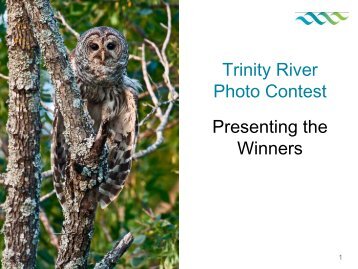 Trinity River Photo Contest Presenting the Winners