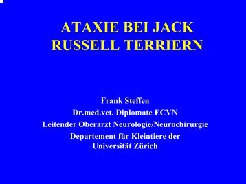 Ã PrÃ¤sentation Ataxie - Parson Russell/Jack Russell Terrier