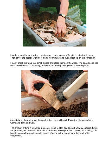 Spalt Your Own Lumber Learn how wood and fungi interact to create ...