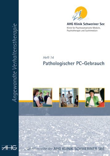 Pathologischer PC-Gebrauch ( pdf )