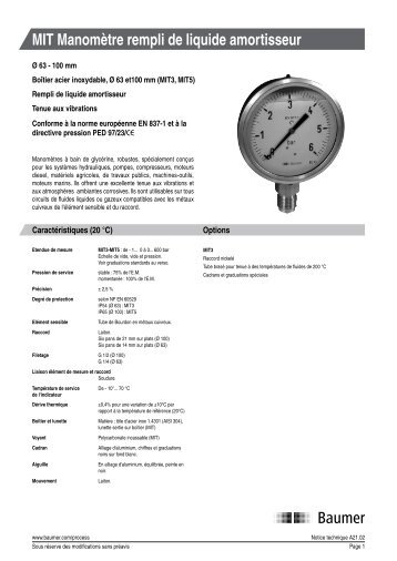 MIT Manomètre rempli de liquide amortisseur - Baumer