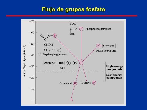 Clase 4 2da parte - Pedeciba