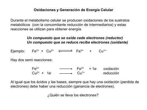 Clase 4 2da parte - Pedeciba