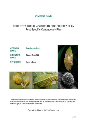 Puccinia psidii - Australasian Plant Pathology Society