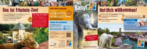 Flyer Sommersaison - Zoo Hannover