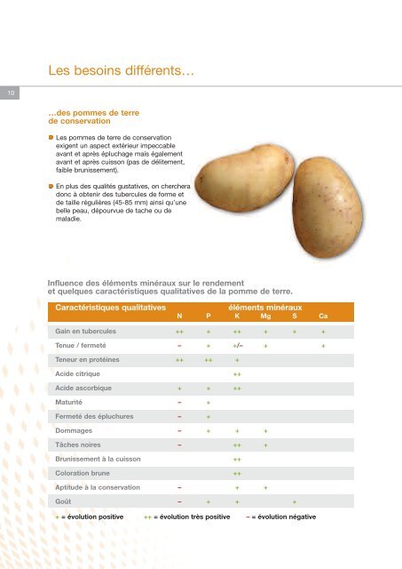 Fertilisation des pommes de terre - K+S KALI GmbH