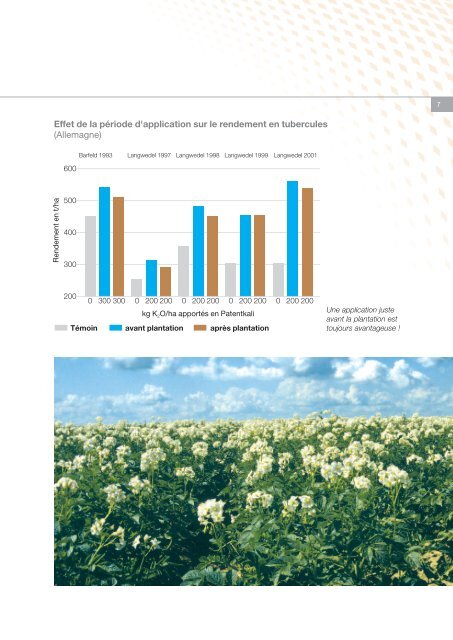 Fertilisation des pommes de terre - K+S KALI GmbH