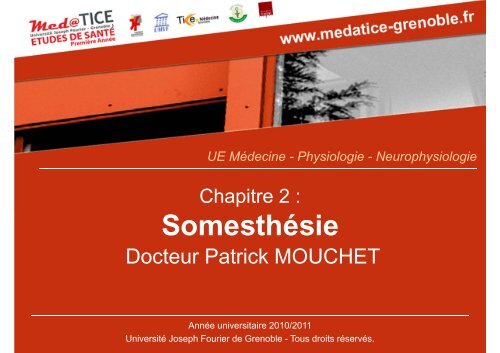SomesthÃ©sie - UniversitÃ© Virtuelle Paris 5