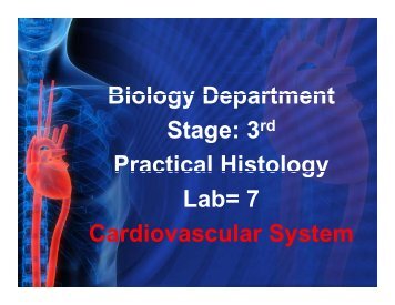 Lab7-cardiovascular system.pdf