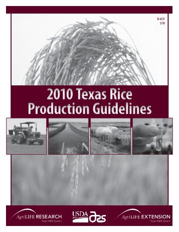 2010 Texas Rice Production Guidelines - Texas A&M AgriLIFE ...