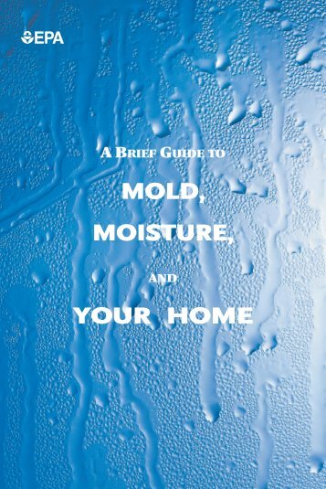 A Brief Guide to Mold - Wells County, Indiana