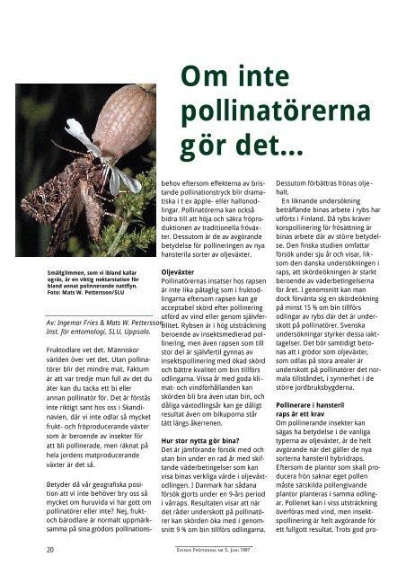 Om inte pollinatÃ¶rerna gÃ¶r detâ€¦ - Svensk Raps