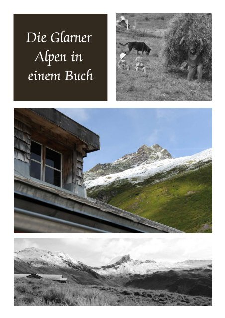 Die Glarner Alpen in einem Buch