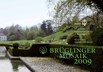 Brüglinger Mosaik 2009